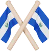 El Salvador Flag