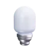 Electrical Bulb