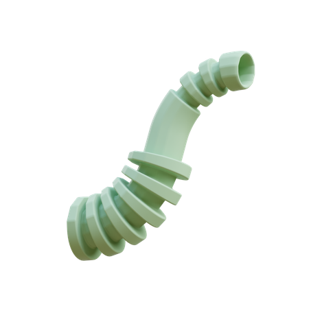 Elephant trunk  3D Icon