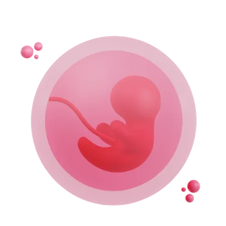 Embrión  3D Icon