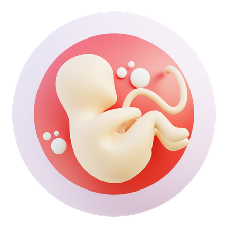 Embrión  3D Icon