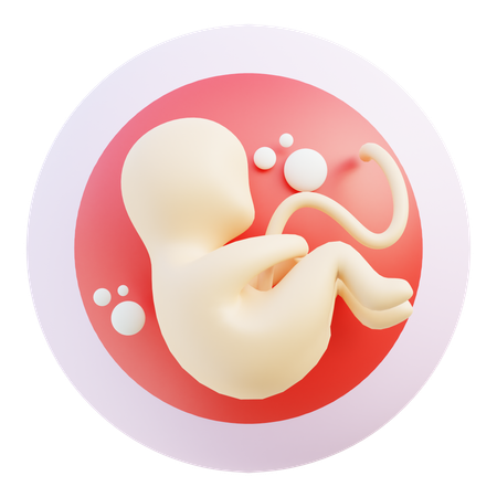 Embryo  3D Icon