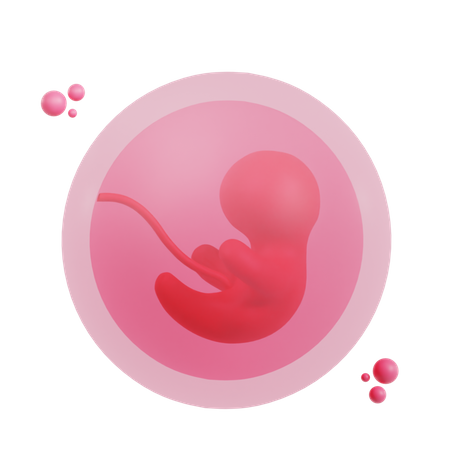 Embryon  3D Icon