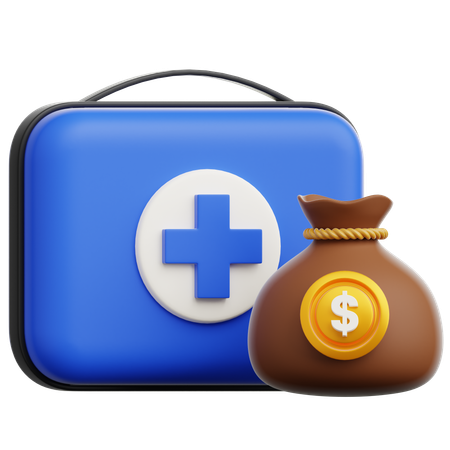 Emergency Fund  3D Icon