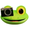 Emoji Frog Taking Photo