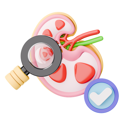Encontrar rim  3D Icon
