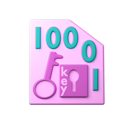 Encryption Key  3D Icon