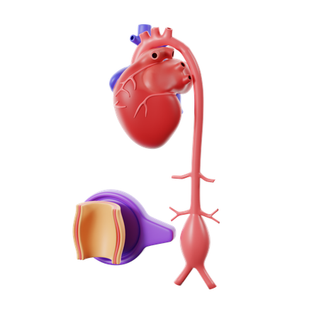 Aneurisma de enfermedad cardíaca  3D Icon