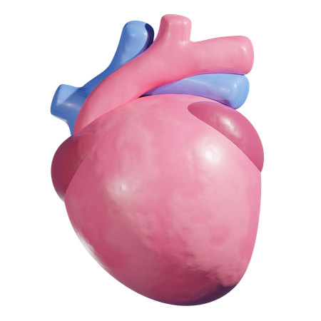 Cardiopatía  3D Icon