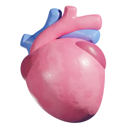 Cardiopatía  3D Icon