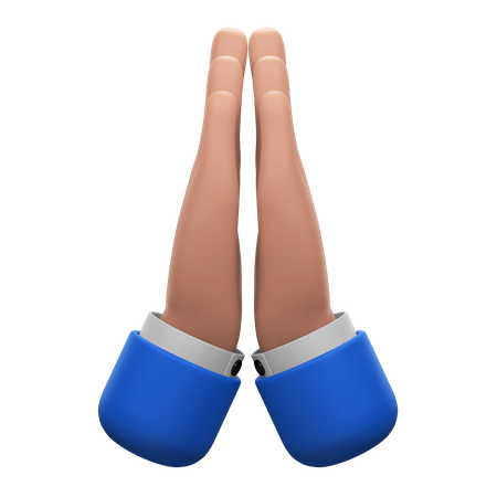 Entschuldigen Sie die Geste der Hände  3D Icon