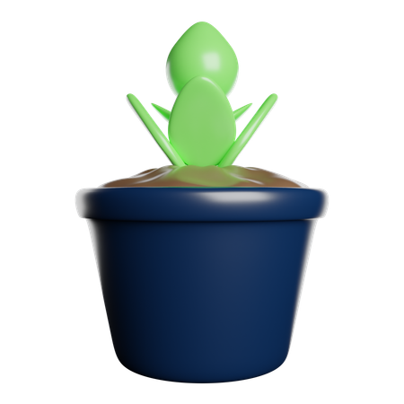 Environnement  3D Icon