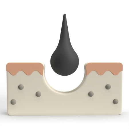 Epidermis  3D Icon