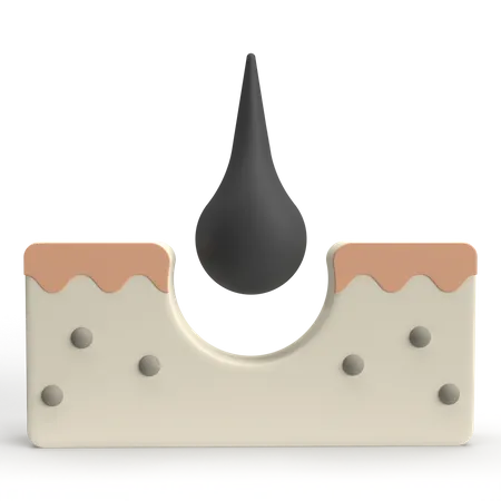 Epidermis  3D Icon