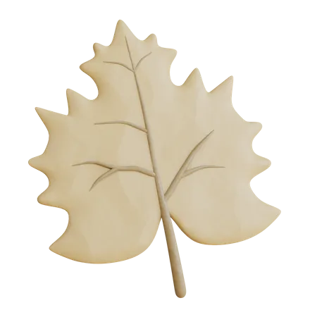 Feuille de chêne d'érable  3D Icon