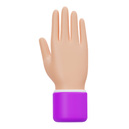 Erhobene Hand  3D Icon