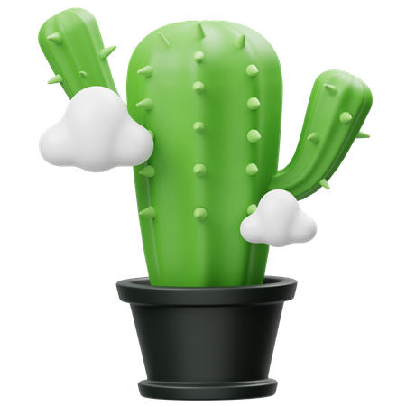 Erreur cactus  3D Icon