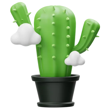 Erreur cactus  3D Icon