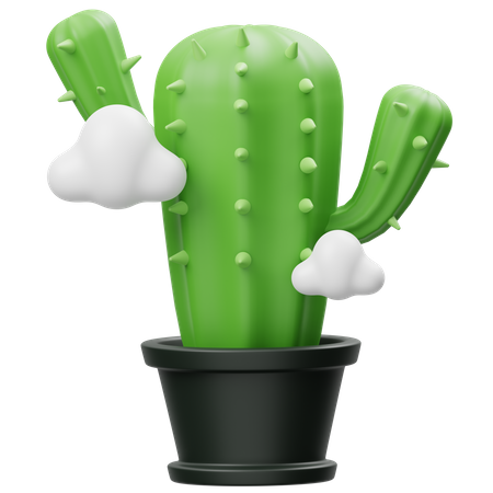 Error Cactus  3D Icon