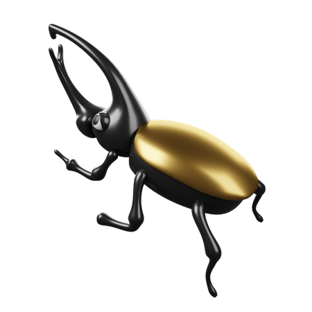 Escarabajo  3D Icon