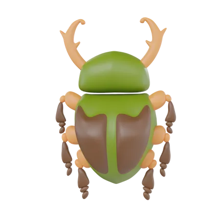 Escarabajo del desierto  3D Icon