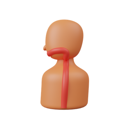 Esophagus  3D Icon