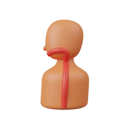 Esophagus  3D Icon