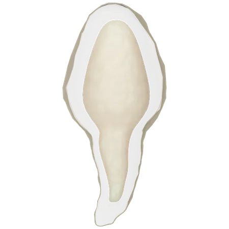 Esperma  3D Icon