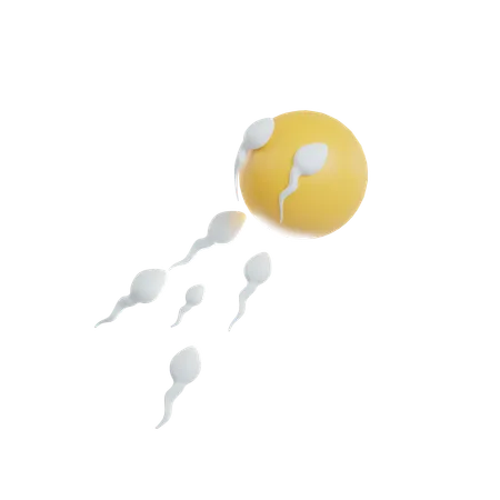 Espermatozoides  3D Icon