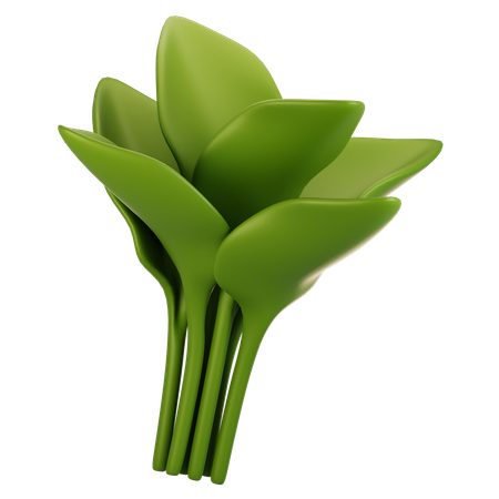 Espinaca  3D Icon