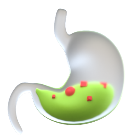 Estómago  3D Icon