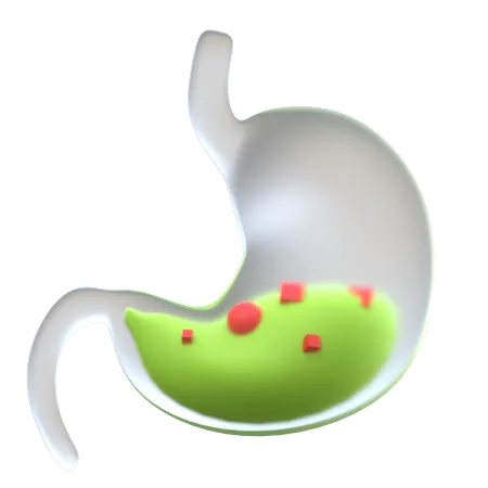 Estómago  3D Icon