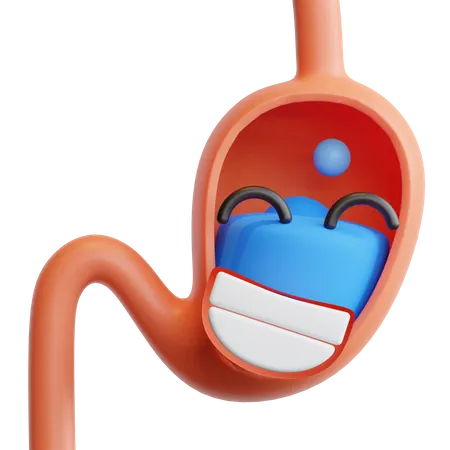 Estómago  3D Illustration