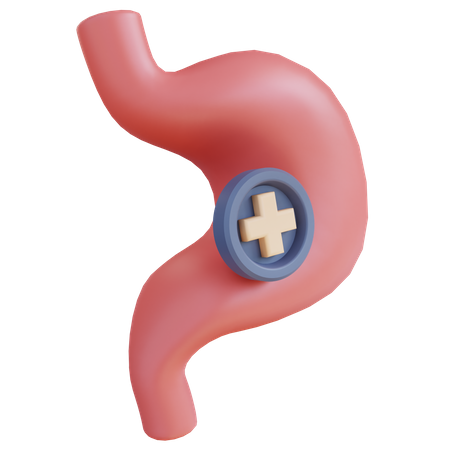 Gastroenterología del estómago  3D Icon