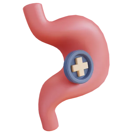 Gastroenterología del estómago  3D Icon