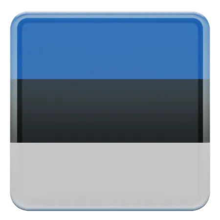 Estonia Flag  3D Flag