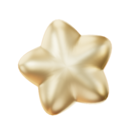 Estrela  3D Icon