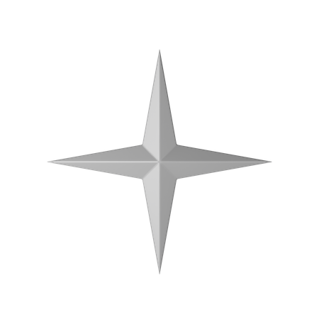 Estrela  3D Icon