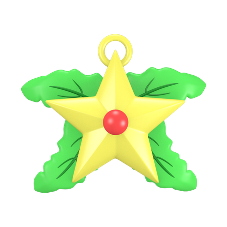 Estrela decorativa  3D Icon