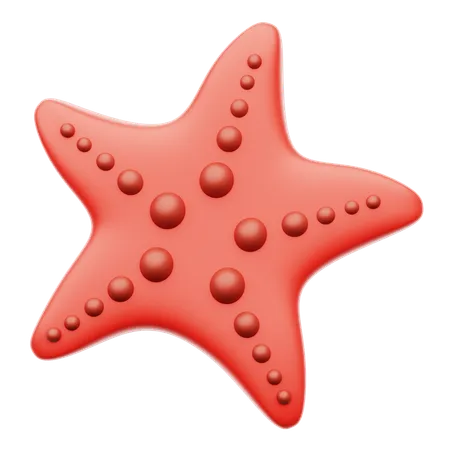 Estrela do Mar  3D Icon