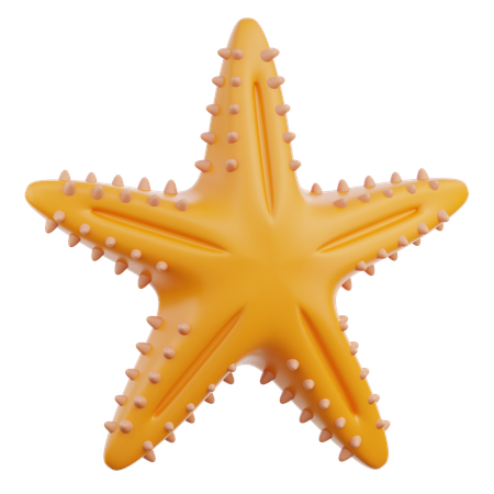 Estrela do Mar  3D Icon