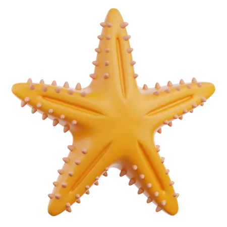 Estrela do Mar  3D Icon