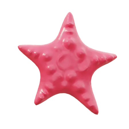 Estrela do Mar  3D Icon