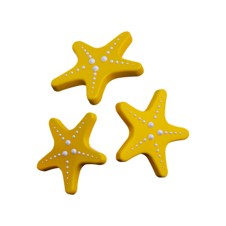 Estrela do Mar  3D Illustration