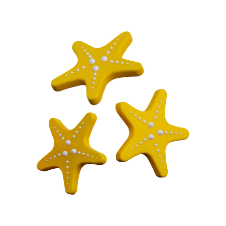 Estrela do Mar  3D Illustration