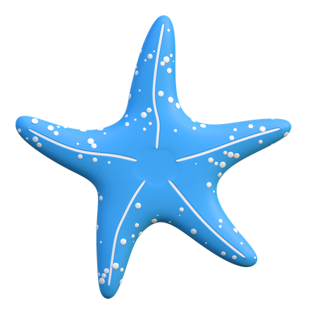 Estrela do Mar  3D Icon