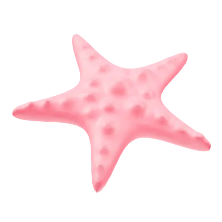 Estrela do Mar  3D Icon