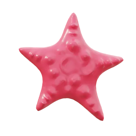 Estrela do Mar  3D Icon