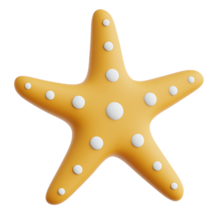 Estrella de mar  3D Icon