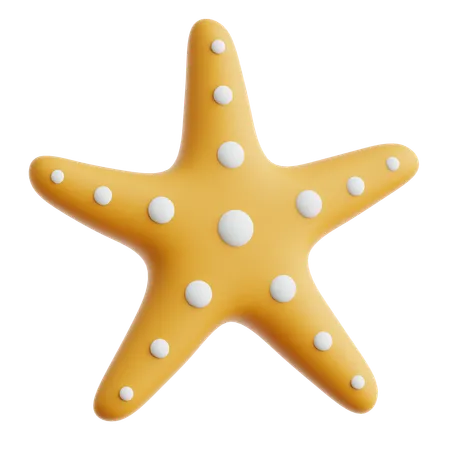 Estrella de mar  3D Icon